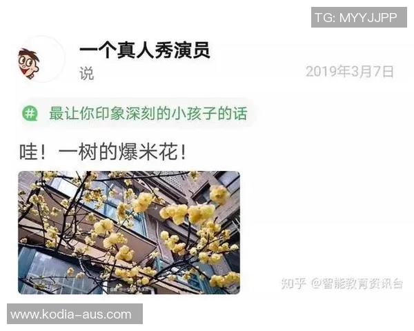 德勒阿里真人秀女星的成长之路与荧幕背后的真实故事揭秘