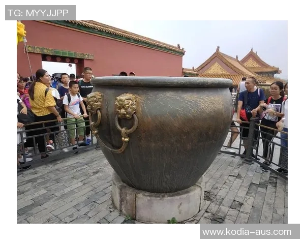 张斌真人秀带你走进真实生活的每一个瞬间，感受不一样的人生故事与情感交织